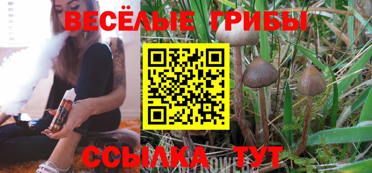 Галлюциногенные грибы Cubensis Зима