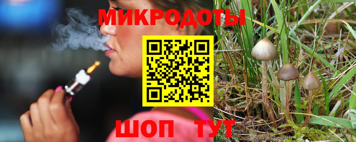 Псилоцибиновые грибы мицелий  Вход с VPN  Псилоцибиновые грибы прущие грибы  Зима 
